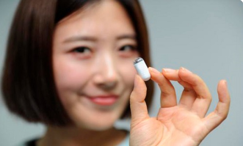 What are the relevant introductions of Empty Vegetable Capsules?