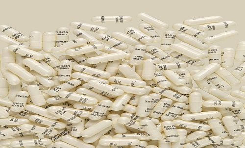 What is the knowledge of medicinal gelatin hollow capsules?